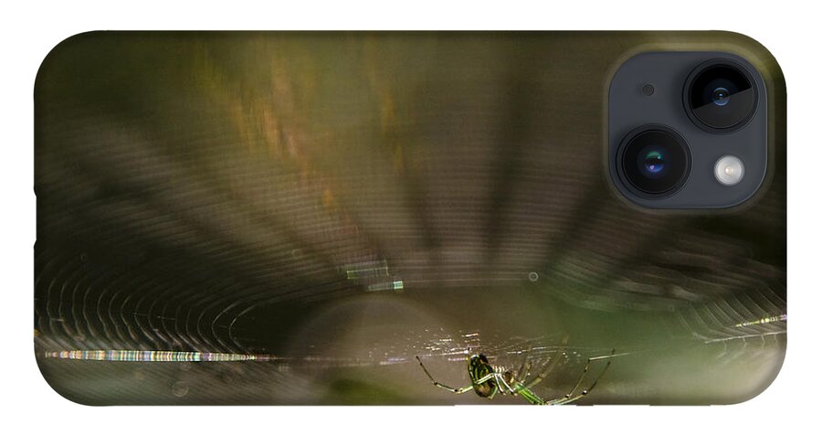 Spider iPhone 14 Case featuring the photograph Woodland Spider Abstract by Michael Dougherty