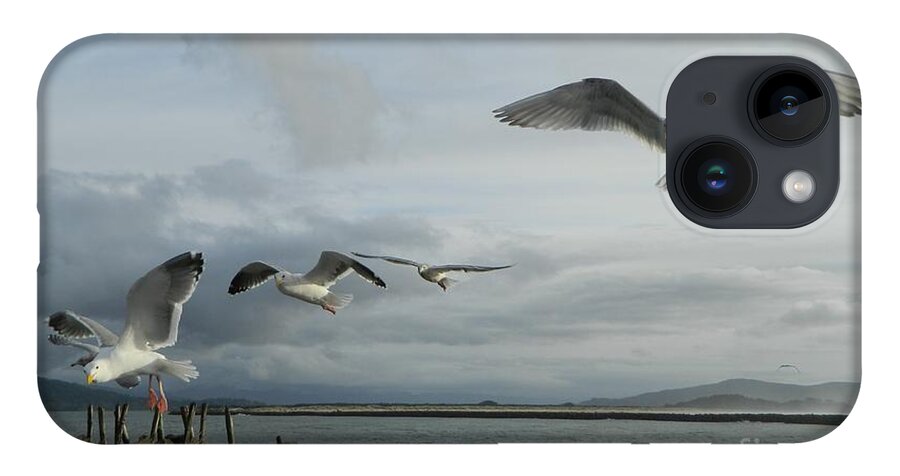 Birds iPhone 14 Case featuring the photograph Wow Seagulls 2 by Gallery Of Hope 