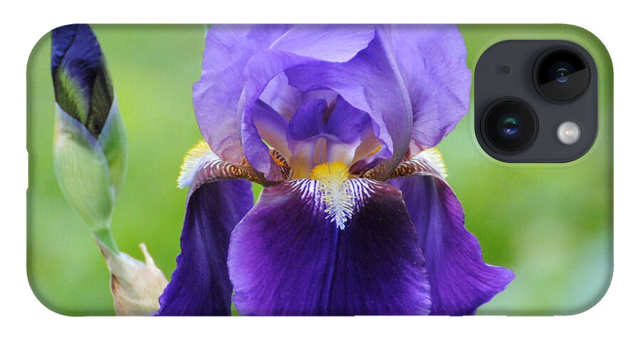 Beautiful Iris iPhone 14 Case featuring the photograph Purple and Yellow Iris by Jai Johnson