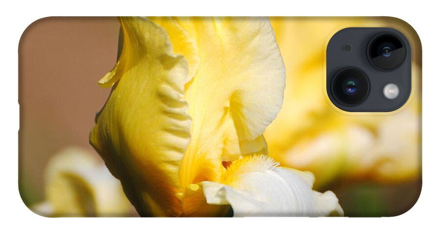 Beautiful Iris iPhone 14 Case featuring the photograph Yellow and White Iris by Jai Johnson