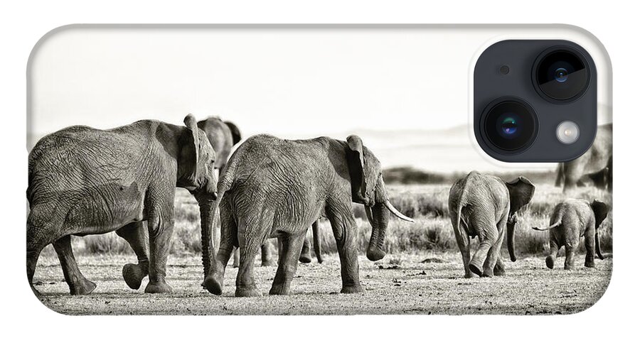 Africa iPhone 14 Case featuring the photograph African Elephants in the Masai Mara by Perla Copernik