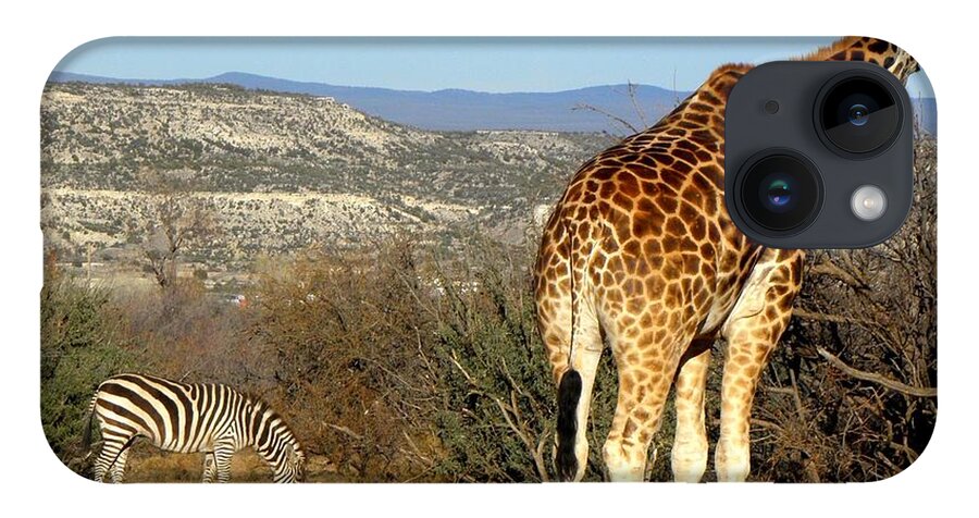 Giraffe iPhone 14 Case featuring the photograph African Safari in Arizona by Kim Galluzzo