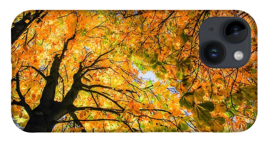 Orange iPhone 14 Case featuring the photograph Autumn Sky by Hannes Cmarits