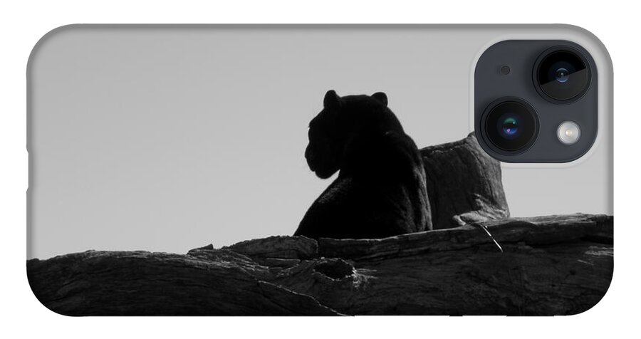 Black iPhone 14 Case featuring the photograph Black Jaguar by Kim Galluzzo Wozniak