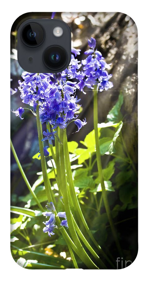 Wild Flowers iPhone Case featuring the photograph Bluebells in the woods by Simon Bratt