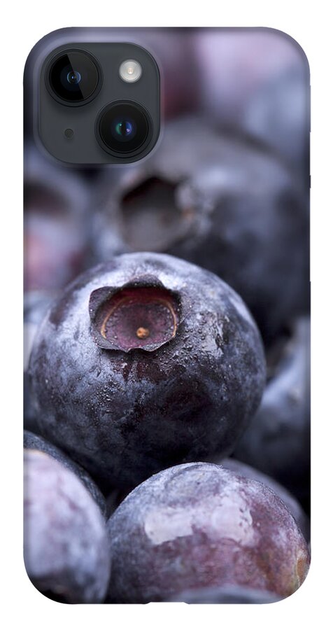 Agriculture iPhone 14 Case featuring the photograph Blueberries by Jane Rix