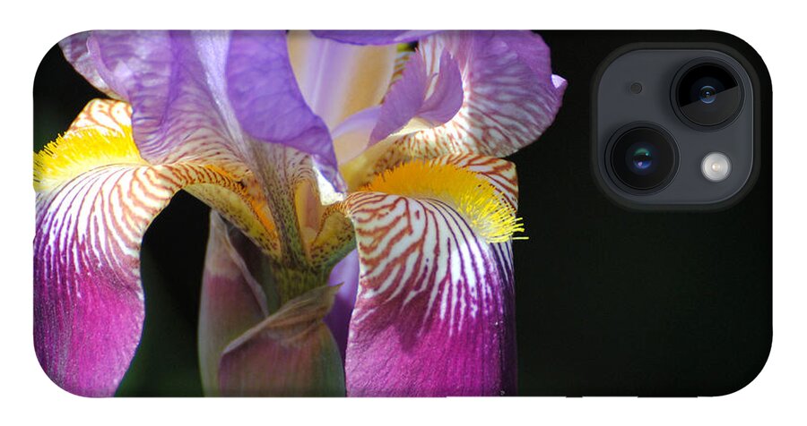 Beautiful Iris iPhone 14 Case featuring the photograph Brilliant Purple Iris Flower II by Jai Johnson