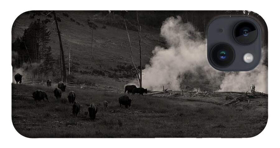 Nature iPhone 14 Case featuring the photograph Buffalo Apocalypse by La Dolce Vita