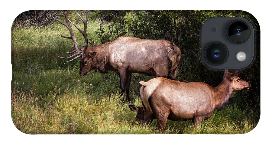 2012 iPhone 14 Case featuring the photograph Bull Elk 7X7 by Ronald Lutz