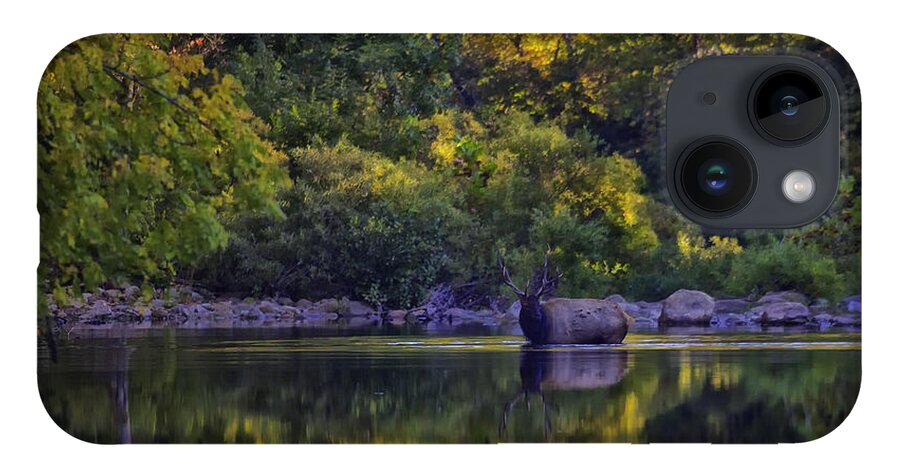 Fall Color iPhone 14 Case featuring the photograph Bull Elk in Reflecting Pool Buffalo National River by Michael Dougherty