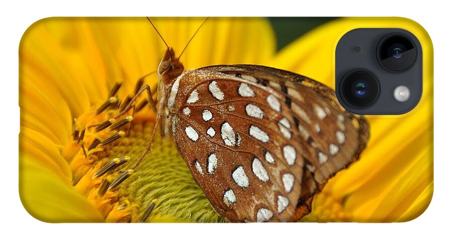 Insects iPhone 14 Case featuring the photograph Butterfly Beauty by Cheryl Baxter