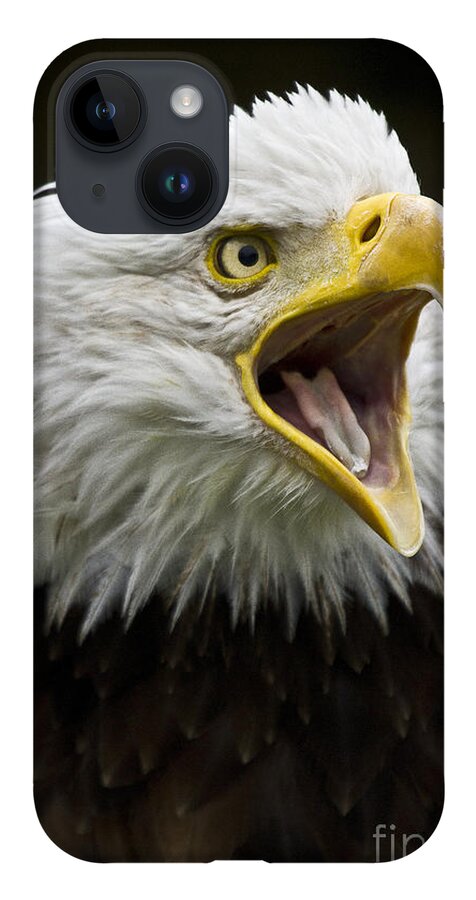 Eagle iPhone 14 Case featuring the photograph Calling Bald Eagle - 4 by Heiko Koehrer-Wagner