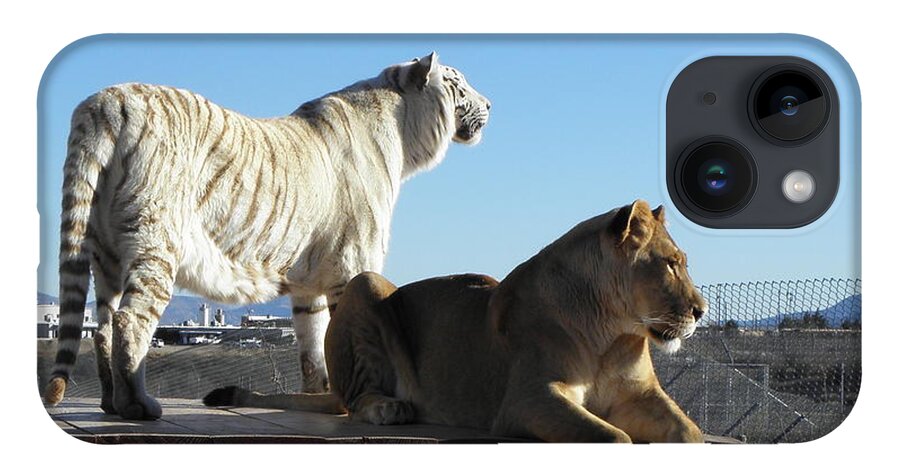 Lion iPhone 14 Case featuring the photograph Chalet and Kumba by Kim Galluzzo Wozniak