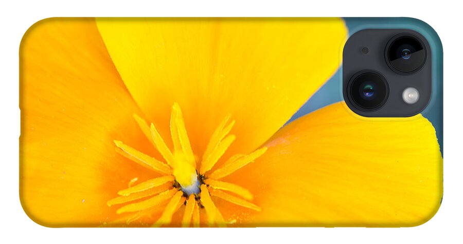 California Poppy iPhone Case featuring the photograph Close Up Of A California Poppy by Dina Calvarese