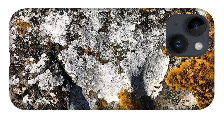 Lichen iPhone 14 Case featuring the photograph Cumbrian Lichens by Nic Squirrell
