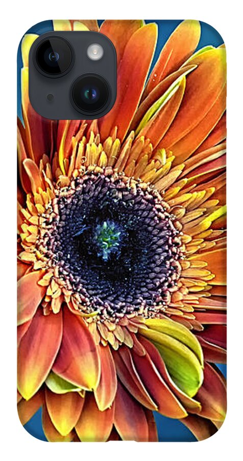 Gerber Daisy iPhone 14 Case featuring the photograph Daisy Dialation by Bill and Linda Tiepelman