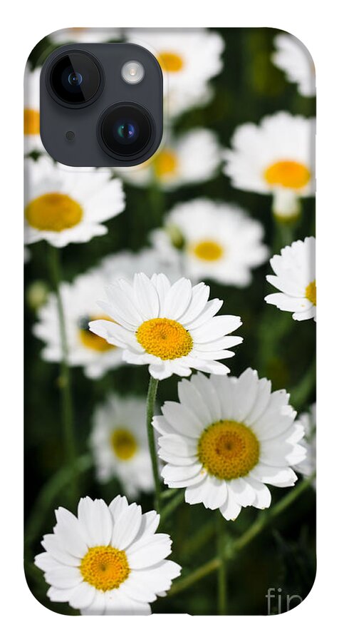 Daisy iPhone 14 Case featuring the photograph Daisies in a field by Simon Bratt
