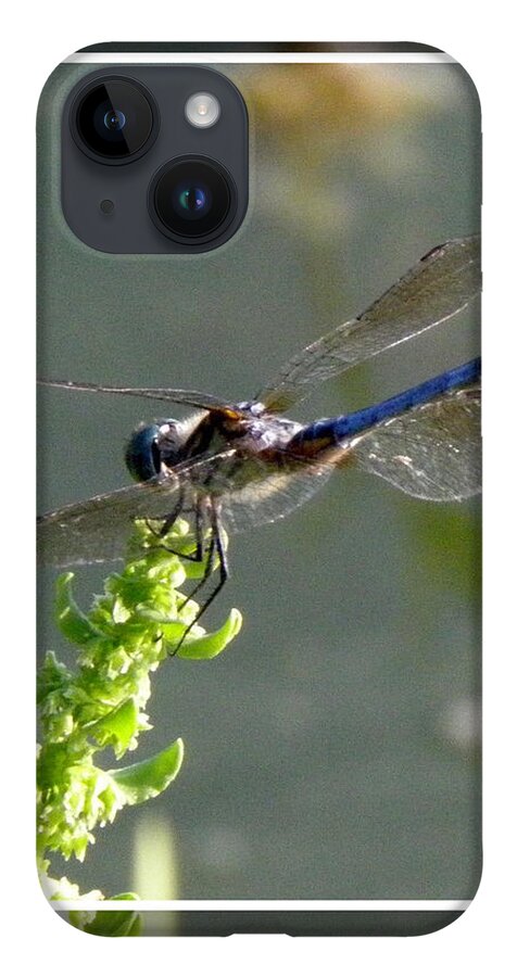Blue iPhone 14 Case featuring the photograph Dragon fly by Kim Galluzzo Wozniak