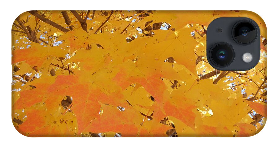 Fall iPhone 14 Case featuring the photograph Fall in New England by Kim Galluzzo Wozniak
