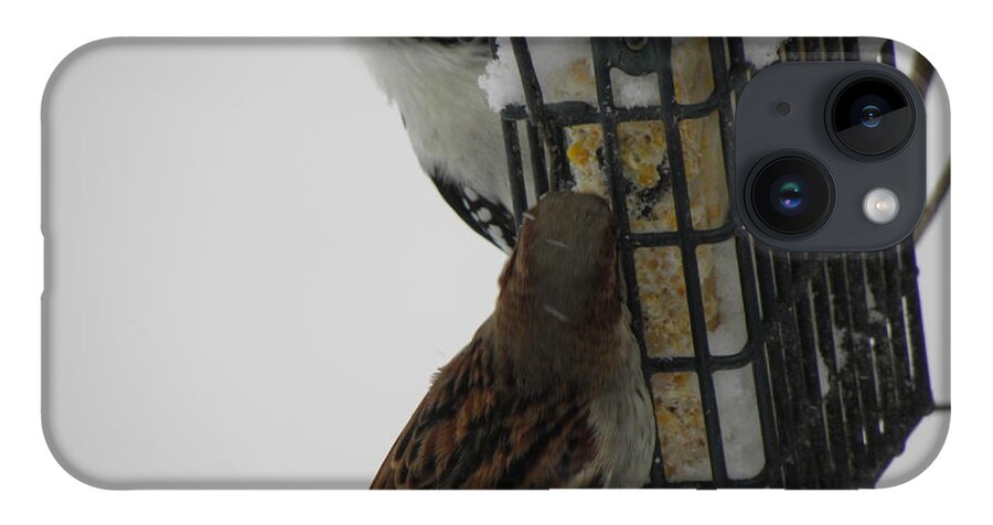 Downy iPhone 14 Case featuring the photograph Feeding Time After The Storm by Kim Galluzzo Wozniak