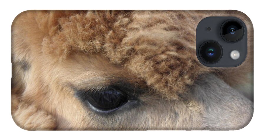 Alpaca iPhone 14 Case featuring the photograph Fluffy by Kim Galluzzo