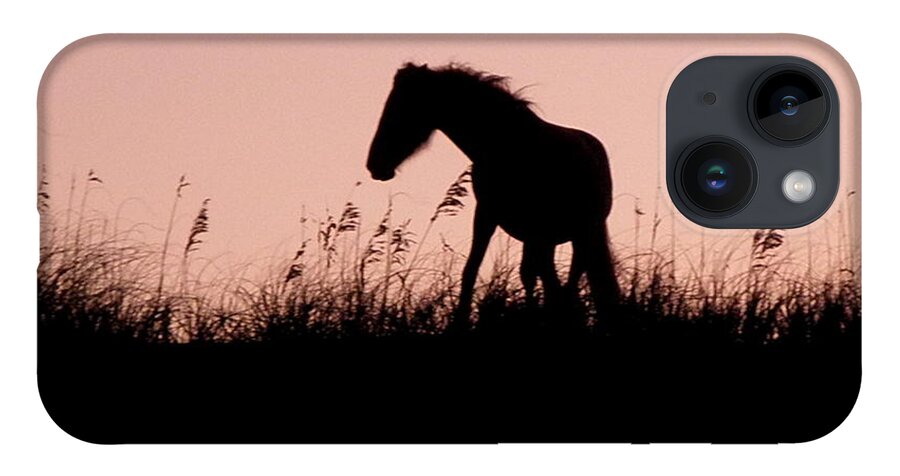 Foal iPhone 14 Case featuring the photograph Foal At Sunset by Kim Galluzzo Wozniak