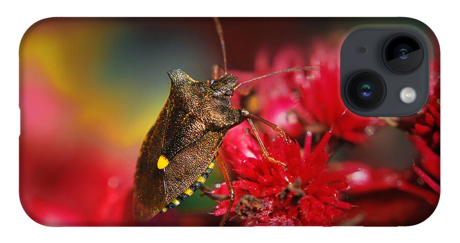 Yhun Suarez iPhone Case featuring the photograph Forest Bug - Pentatoma Rufipes by Yhun Suarez