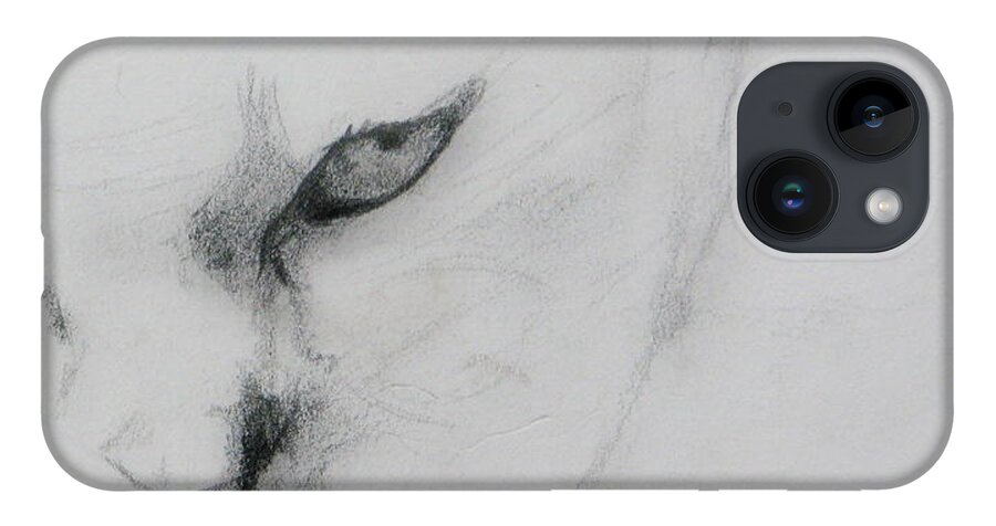 Cat iPhone 14 Case featuring the drawing Ghost Cat by Rory Siegel