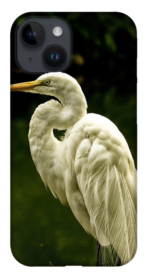 Great Egret iPhone 14 Case featuring the photograph Great White Egret Pose by Bill and Linda Tiepelman
