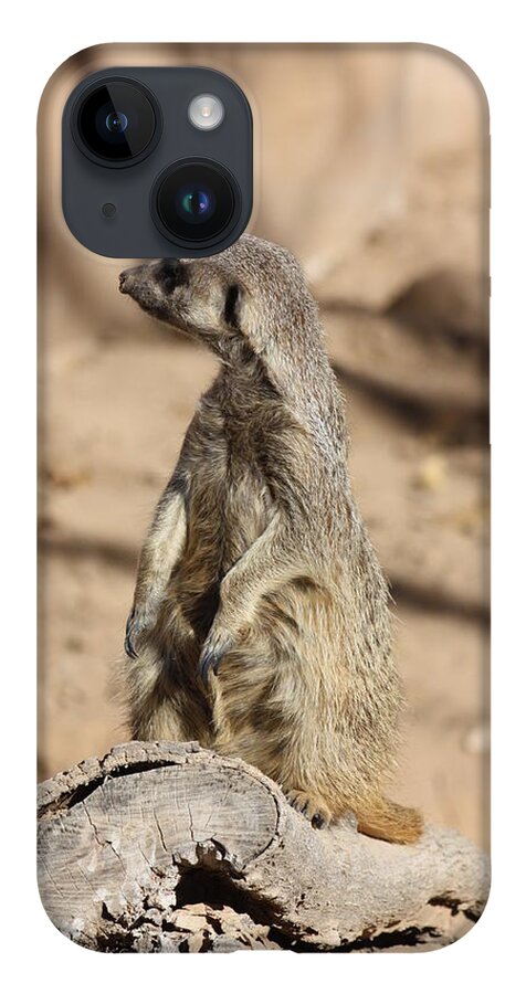 Meerkat iPhone 14 Case featuring the photograph He Went That Way by Kim Galluzzo