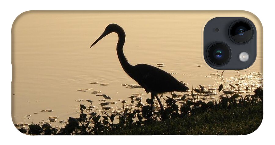 Crane iPhone 14 Case featuring the photograph Hunting At Sunset by Kim Galluzzo Wozniak