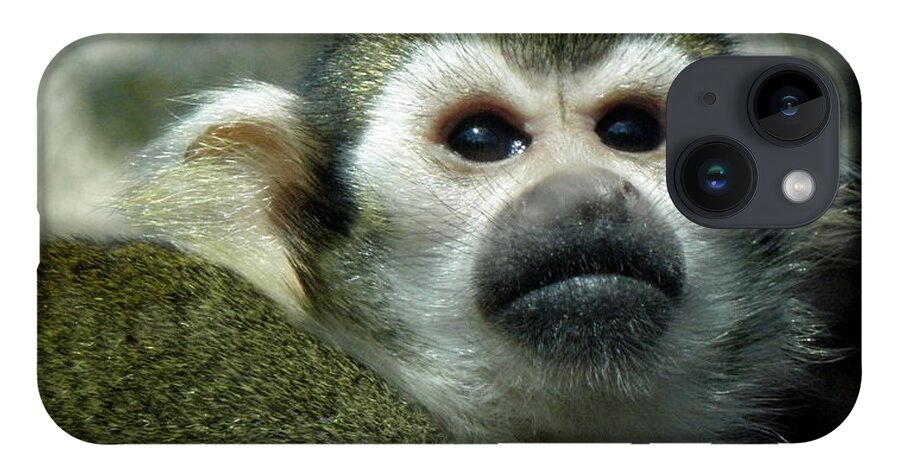 Monkey iPhone 14 Case featuring the photograph In Thought by Kim Galluzzo Wozniak