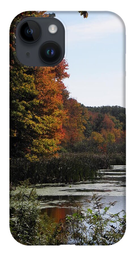 Autumn iPhone 14 Case featuring the photograph Just simple Beauty by Kim Galluzzo Wozniak