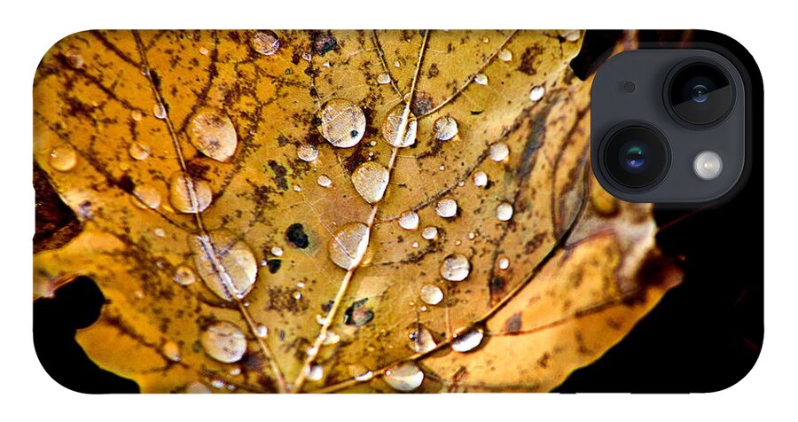 Fall Leaf With Water Droplets iPhone 14 Case featuring the photograph Leafwash by Burney Lieberman