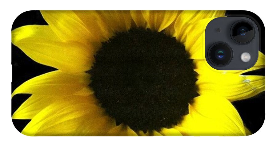 iPhone Case featuring the photograph Live Life Like A Sunflower, And Find by Christine Cherry