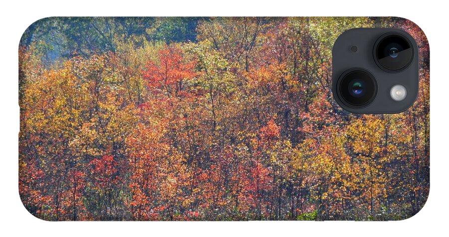 Autumn iPhone 14 Case featuring the photograph Looks Like A Painting by Kim Galluzzo Wozniak