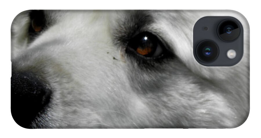 Great Pyrenees iPhone Case featuring the photograph Loving eyes and Face by Kim Galluzzo Wozniak