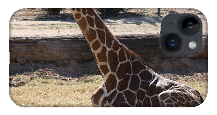 Giraffe iPhone Case featuring the photograph Mommy taking a break by Kim Galluzzo Wozniak