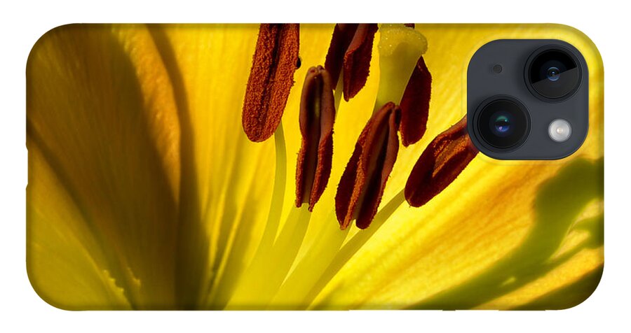 Diane Berry iPhone 14 Case featuring the photograph Morning Yellow by Diane E Berry