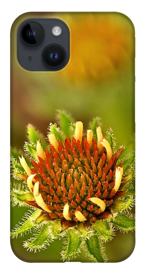 2012 iPhone 14 Case featuring the photograph Pale Purple Coneflower Bud by Robert Charity