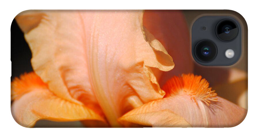 Beautiful Iris iPhone 14 Case featuring the photograph Peach Iris Flower III by Jai Johnson