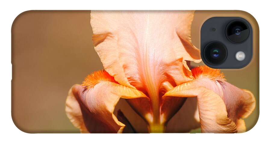 Beautiful Iris iPhone 14 Case featuring the photograph Peach Iris Flower by Jai Johnson