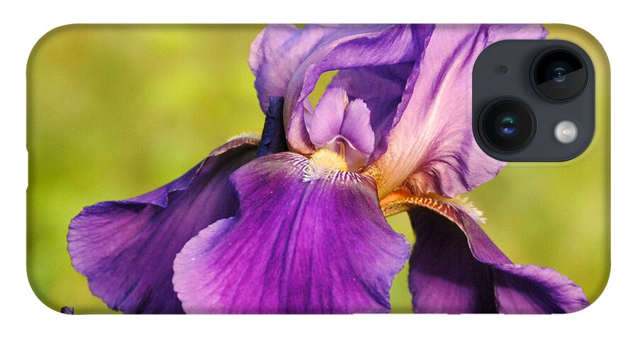 Beautiful Iris iPhone 14 Case featuring the photograph Purple and Yellow Iris by Jai Johnson