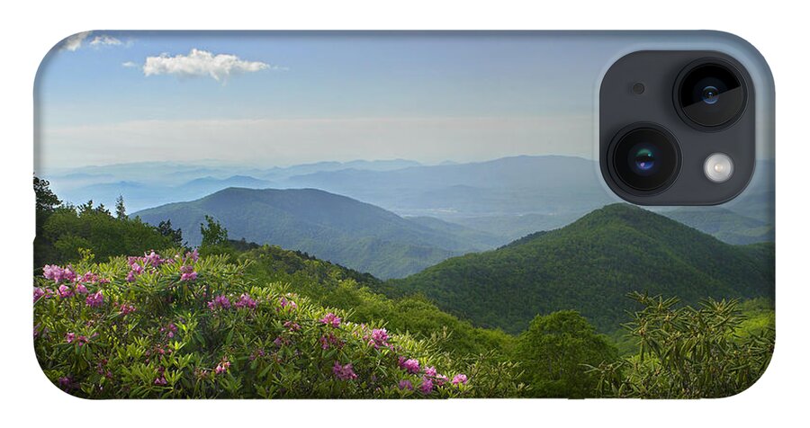 00176868 iPhone 14 Case featuring the photograph Rhododendron Tree Flowering At Craggy by Tim Fitzharris