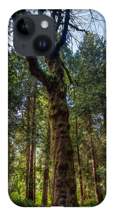 Tf-photography.com iPhone 14 Case featuring the photograph Seattle Arboretum by Tommy Farnsworth