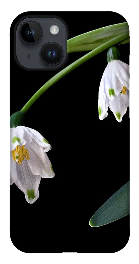 Flower iPhone Case featuring the photograph Snow Drops by Endre Balogh