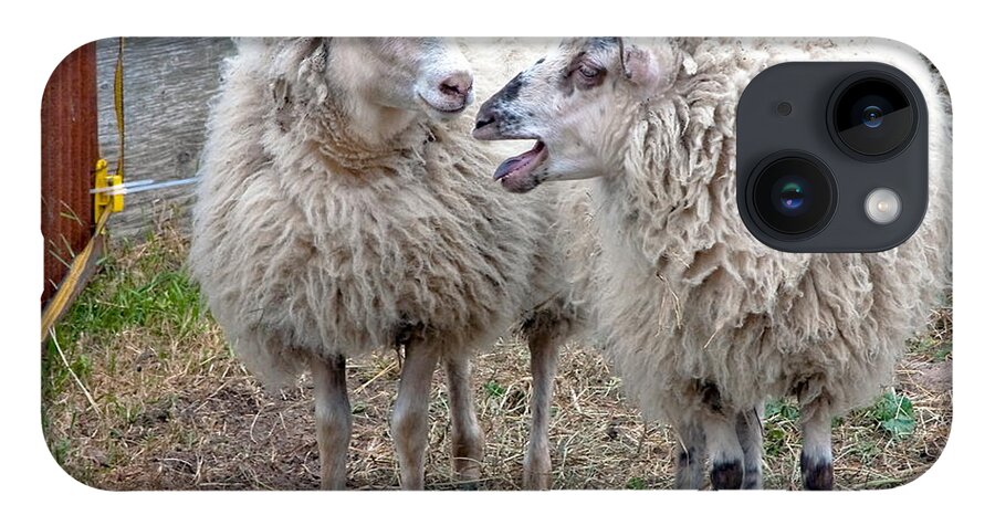 Sheep iPhone Case featuring the photograph So I Said by Burney Lieberman
