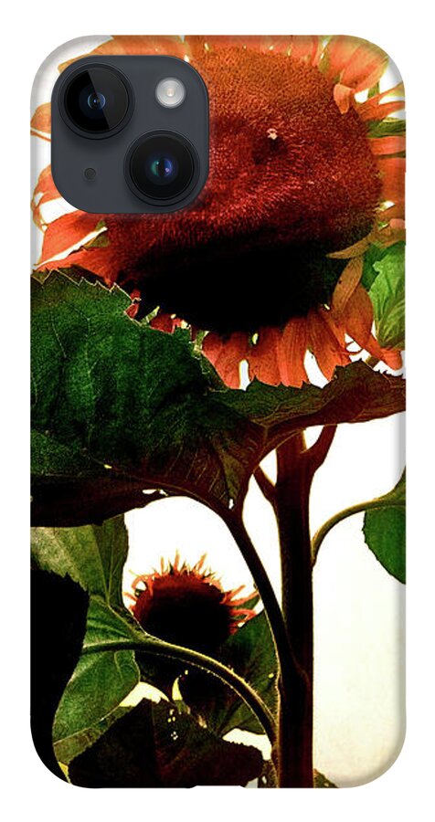 Sunflower iPhone Case featuring the photograph The Business of Bees by Kevyn Bashore