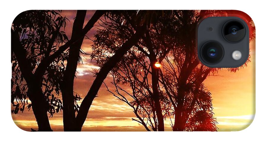 Australia iPhone 14 Case featuring the photograph Sunset through the trees by Blair Stuart