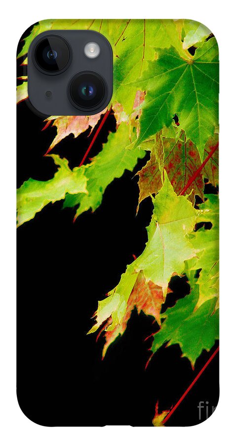 Maple iPhone Case featuring the photograph The Beginning Of Change by Rory Siegel